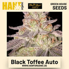 Black Toffee Auto Hanfsamen von Green House Seeds
