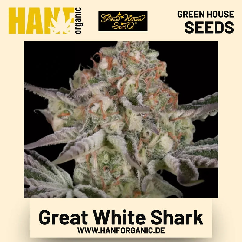Great White Shark Hanfsamen von Green House Seeds