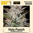 Holy Punch Hanfsamen von Green House Seeds