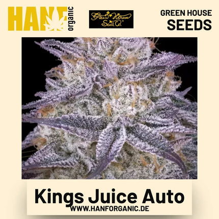 Kings Juice Auto Hanfsamen von Green House Seeds