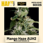 Mango Haze AUH2 Hanfsamen von Green House Seeds
