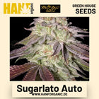 Sugarlato Auto Hanfsamen von Green House Seeds