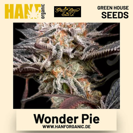Wonder Pie Hanfsamen von Green House Seeds