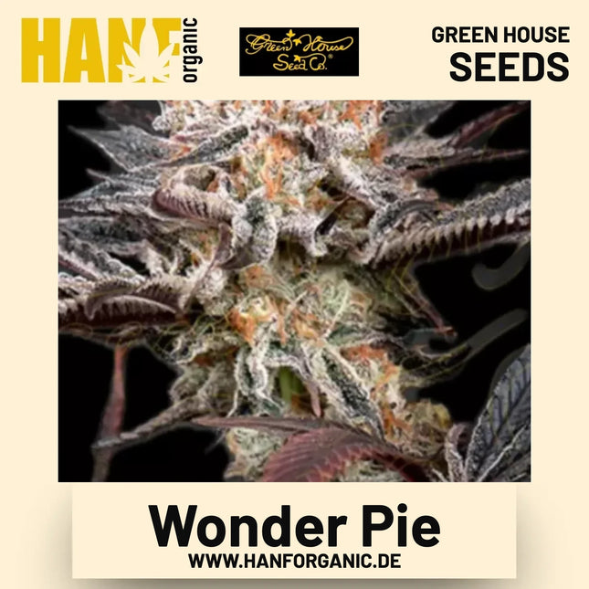 Wonder Pie Hanfsamen von Green House Seeds