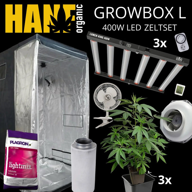 Growbox L 400W LED Zeltset von Hanf Organic mit LED-Growlampe, Growzelt, Abluftventilator, Umluftventilator, Zeitschaltuhr, Thermo-Hygrometer, Aktivkohlefilter, Blumentöpfen, Cannabis-Pflanzen und Plagron Lightmix Erde