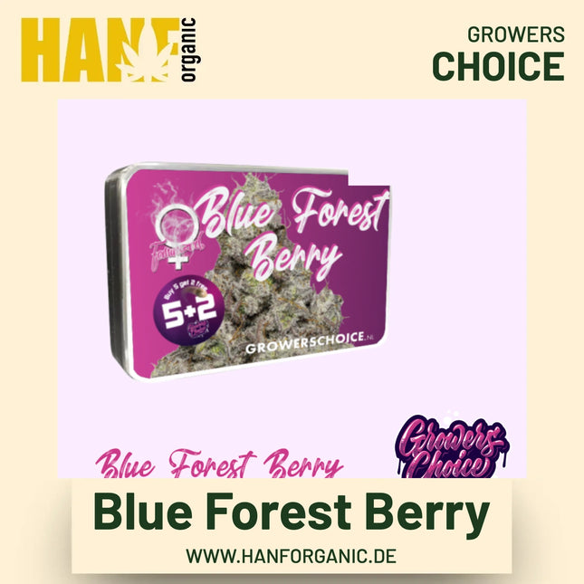 Blue Forest Berry Hanfsamen von Growers Choice