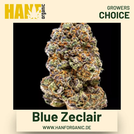Blue Zeclair Hanfsamen von Growers Choice