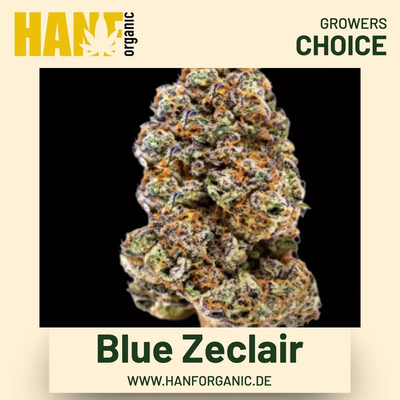 Blue Zeclair Hanfsamen von Growers Choice