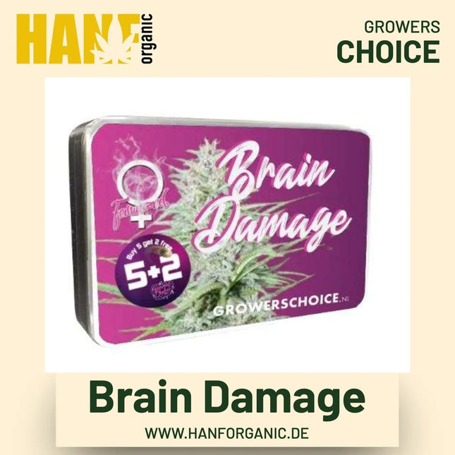 Brain Damage Hanfsamen von Growers Choice