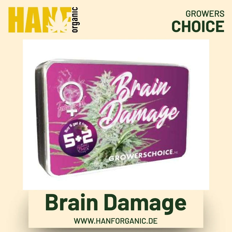 Brain Damage Hanfsamen von Growers Choice
