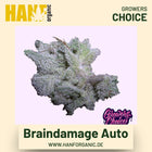 Brain Damage Autoflower Hanfsamen von Growers Choice