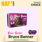 Bruce Banner Hanfsamen von Growers Choice