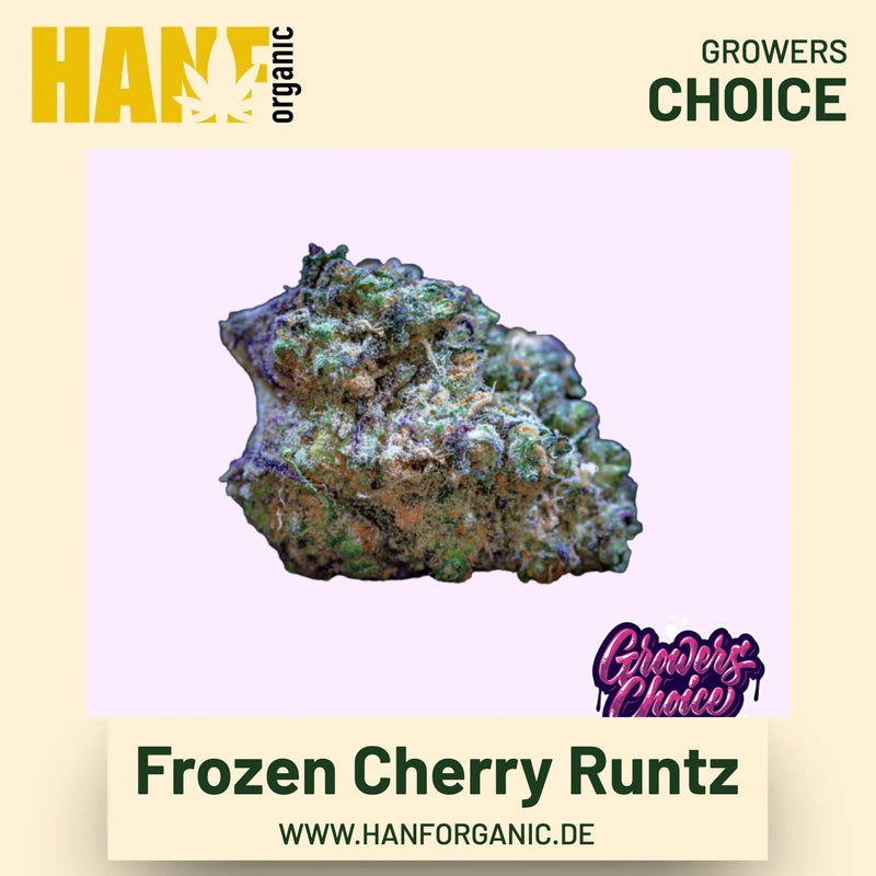 Frozen Cherry Runtz Hanfsamen von Growers Choice