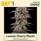 Lemon Cherry Mochi Hanfsamen von Growers Choice