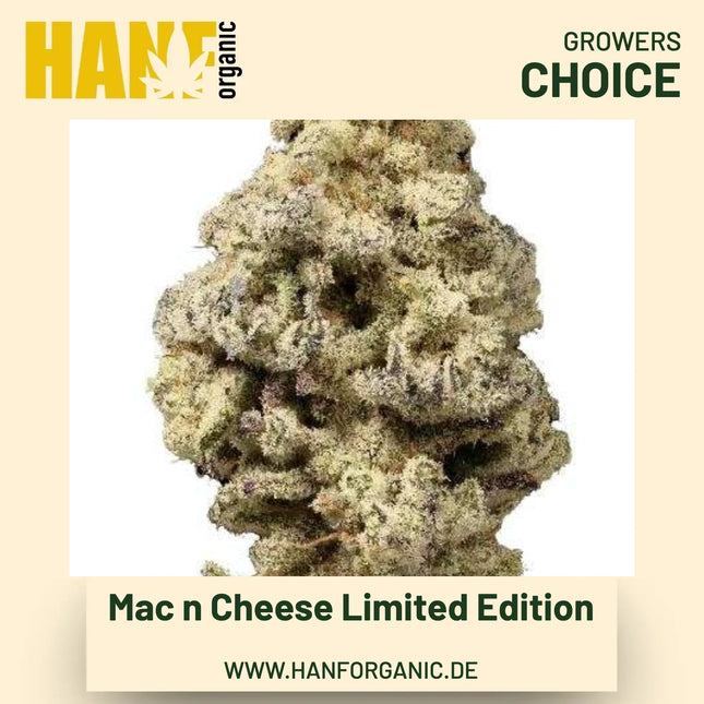Mac n Cheese Limited Edition Hanfsamen von Growers Choice