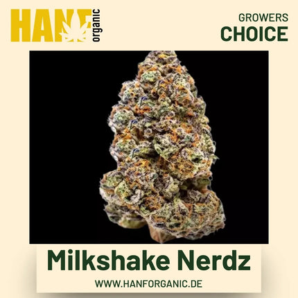 Milkshake Nerdz Hanfsamen von Growers Choice
