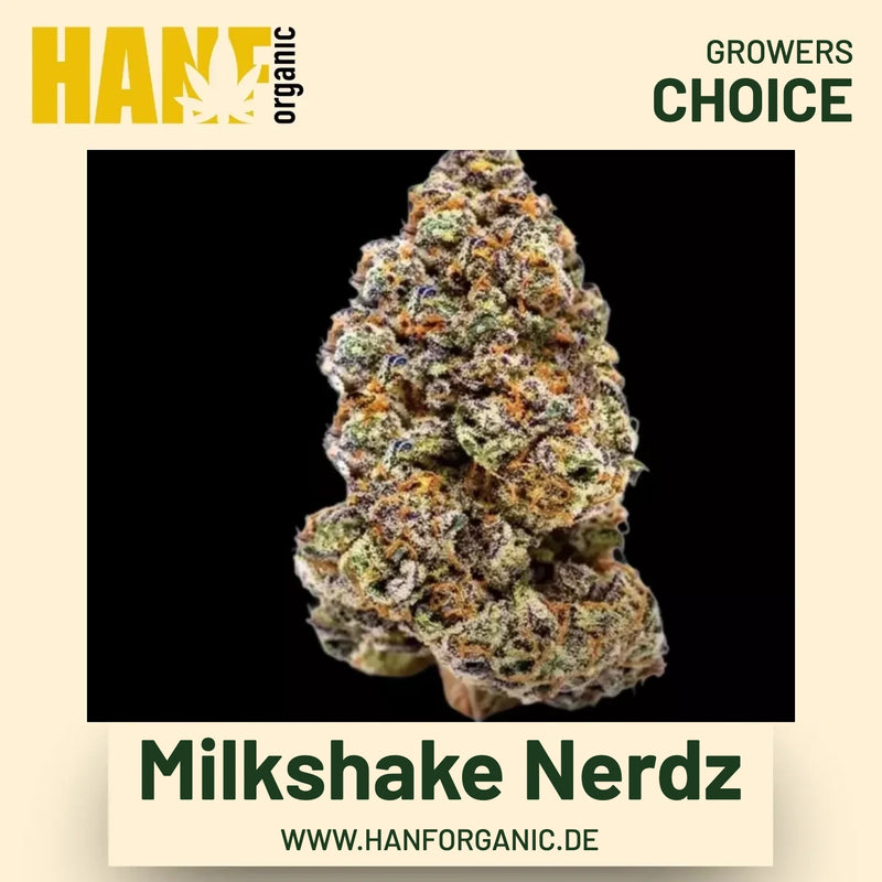 Milkshake Nerdz Hanfsamen von Growers Choice