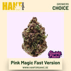Pink Magic Fast Version Hanfsamen von Growers Choice