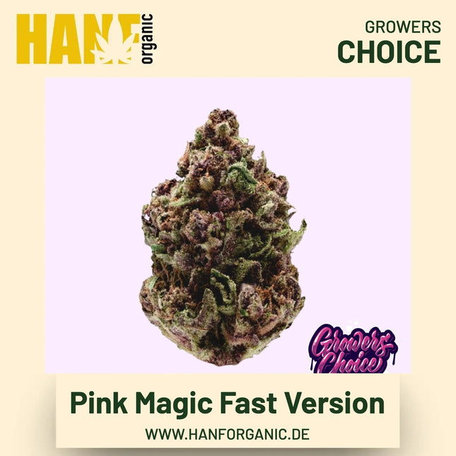 Pink Magic Fast Version Hanfsamen von Growers Choice