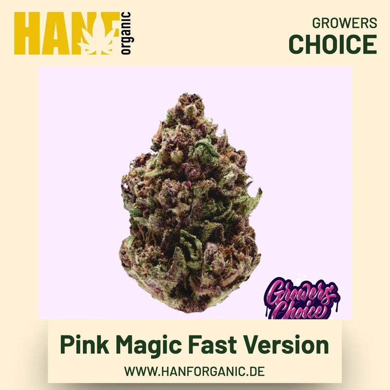 Pink Magic Fast Version Hanfsamen von Growers Choice