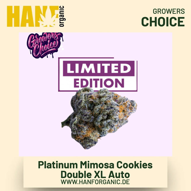 Platinum Mimosa Cookies Double XL Autoflower Hanfsamen von Growers Choice