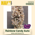 Rainbow Candy Autoflower Hanfsamen von Growers Choice
