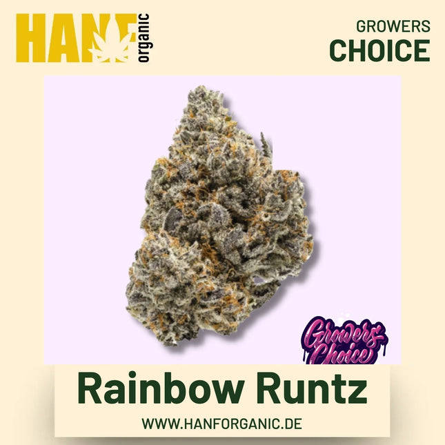 Rainbow Runtz Hanfsamen von Growers Choice