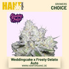 Weddingcake x Frosty Gelato Double XL Autoflower Hanfsamen von Growers Choice