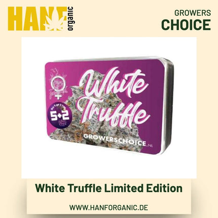 White Truffle Limited Edition Hanfsamen von Growers Choice