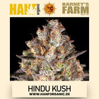 Hindu Kush - Barneys Farm - Fem