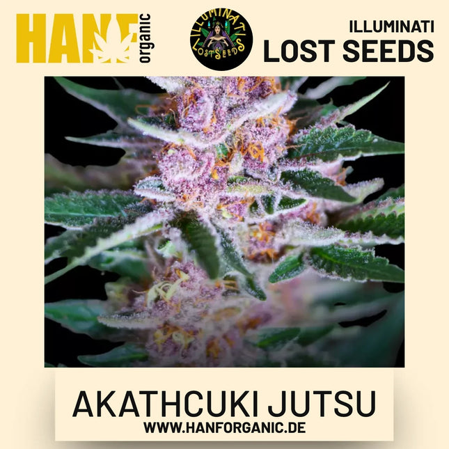 Akathcuki Jutsu feminisierte Hanfsamen von Illuminati Lost Seeds – Produktbild 2