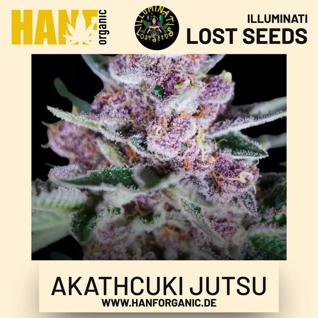 Akathcuki Jutsu feminisierte Hanfsamen von Illuminati Lost Seeds