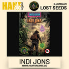 Indi Jons Auto Hanfsamen von Illuminati Lost Seeds