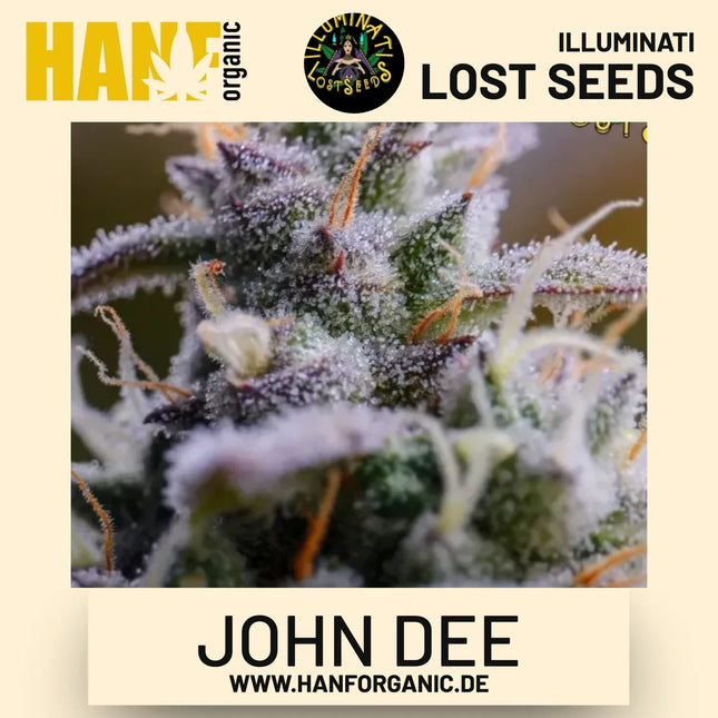 John Dee Auto Hanfsamen von Illuminati Lost Seeds – Produktbild 2