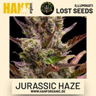Jurassic Haze Auto Hanfsamen von Illuminati Lost Seeds