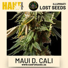 Maui D. Cali feminisierte Hanfsamen von Illuminati Lost Seeds