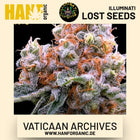 Vaticaan Archives feminisierte Hanfsamen von Illuminati Lost Seeds