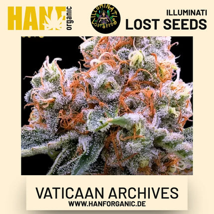 Vaticaan Archives feminisierte Hanfsamen von Illuminati Lost Seeds