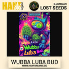 Wubba Luba Bud Auto Hanfsamen von Illuminati Lost Seeds