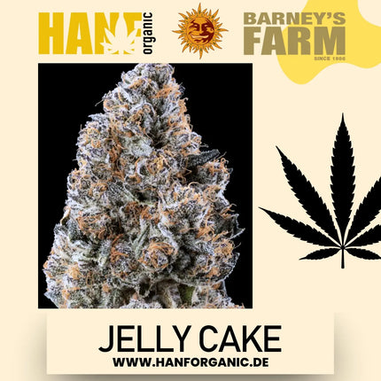 Barney’s Farm - Jelly Cake (Feminisiert)