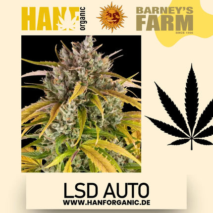 Barney's Farm -  LSD (Auto)