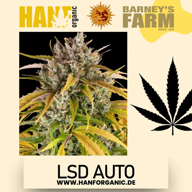 Barney's Farm -  LSD (Auto)