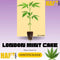 London Mint Cake Hanfstecklinge von T.H. Seeds