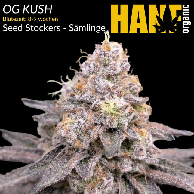 OG Kush