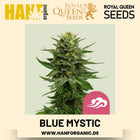 Blue Mystic feminisiert Hanfsamen von Royal Queen Seeds – 3 Samen