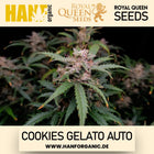 Royal Queen Seeds - Cookies Gelato Auto