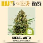 Diesel Autoflower Hanfsamen von Royal Queen Seeds – 3 Samen