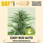 Easy Bud Autoflower Hanfsamen von Royal Queen Seeds – 3 Samen