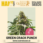 Green Crack Punch feminisiert Hanfsamen von Royal Queen Seeds – 3 Samen