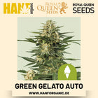 Green Gelato Autoflower Hanfsamen von Royal Queen Seeds – 3 Samen